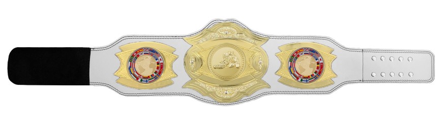 *NEW* PROGEMELITE JIU JITSU CHAMPIONSHIP BELT - PROGEMELITE/G/JJG *NEW* PROGEMELITE JIU JITSU CHAMPIONSHIP BELT - PROGEMELITE/G/JJG
